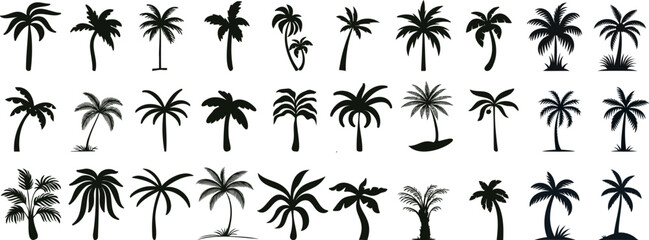 Exotic tropical palm tree silhouettes, perfect for travel, vacation themes, summer designs. Detailed vector illustrations, ideal for creative projects, wallpapers, and botanical garden decorations