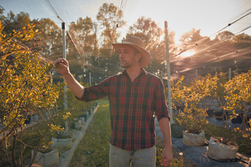 A male gardener with hat carefully examines the budding branches of a plant, indicating the start...