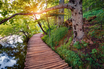Stunning morning view of wooden walkpath in Plitvice National Park. Wonderful summer sunrise in green forest with pure water lake. Green outdoor scene of Croatia, Europe. Travel the world..