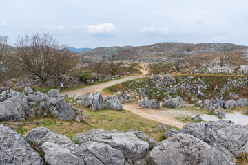 Akiyoshidai Karst Plateau. Akiyoshidai Quasi-National Park. Yamaguchi Prefecture, Japan.