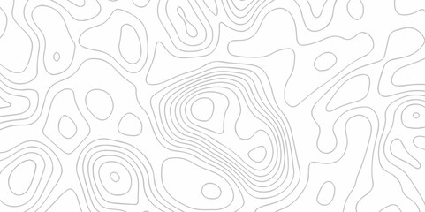 seamless pattern and topography map and counter map. abstract sea map area space geometrics line technology topo landscape grid map texture.	
