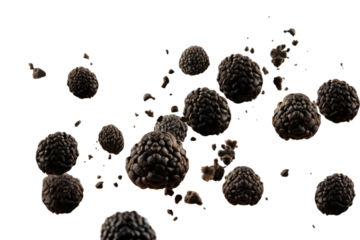 Symphony of Falling Blackberries on White or PNG Transparent Background.