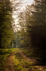 Hochsitz im Wald