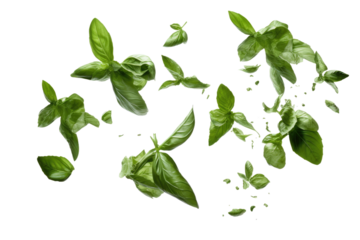 Symphony of Dancing Leaves on White or PNG Transparent Background.