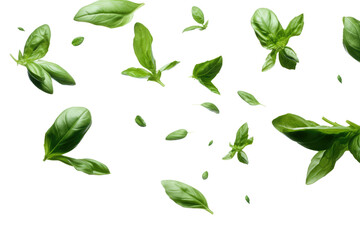 Whimsical Dance of Green Leaves on White or PNG Transparent Background.