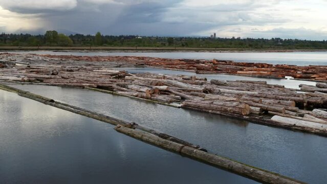 Serene River Landscape with Drifting Timber Logs at Dusk
