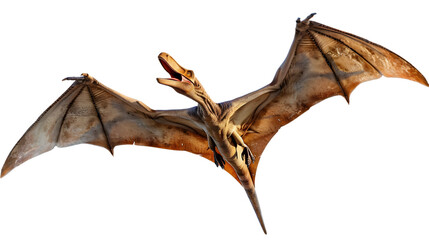 A single pterodactyl soaring isolated on a transparent background