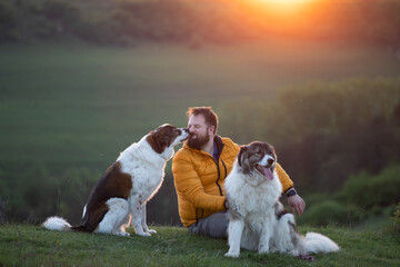 Happy dog and man playing outdoor