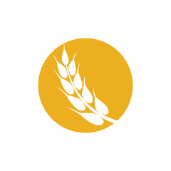 Agriculture wheat logo vector template and symbol