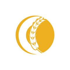 Agriculture wheat logo vector template and symbol