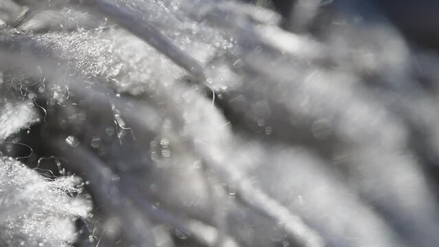 Macro video showing textures and pile of  a rug,  Treads and strands close up.