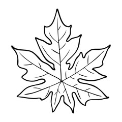 vine leaf outline vector illustration