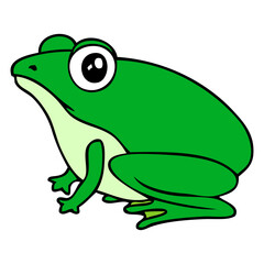 frog vector illustration