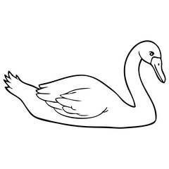 swan line vector illustration