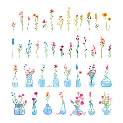 Big set of delicate graceful wildflowers glass vase tall stems foliage Simple floral elements Wild plants isolated white background Flat vector illustration cute