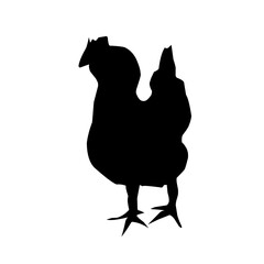 Beautiful black chicken vector silhouette art.This is an editable vector file.