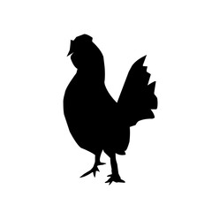 Beautiful black chicken vector silhouette art.This is an editable vector file.