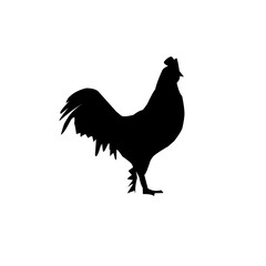 Beautiful black chicken vector silhouette art.This is an editable vector file.