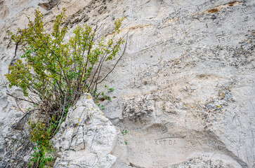 Register Cliff State Historic Site, State park in Wyoming