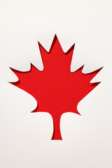 Red maple leaf on a white background