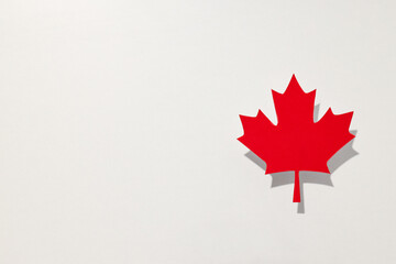 Red maple leaf on a white background