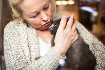 Beautiful mature woman at home, holding, petting her cat, looking through the window. Older woman...