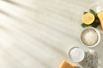 Natural cleaning products, bottles and branch on beige background, space for text