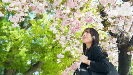 スーツを着た若い女性と桜のポートレート