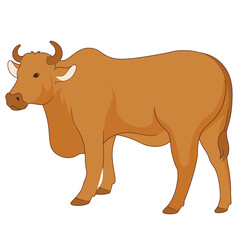 Eid Al-Adha Cow Animal Illustration