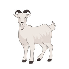 Eid Al-Adha Goat Animal Illustration