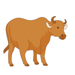 Eid Al-Adha Cow Animal Illustration