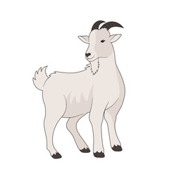Eid Al-Adha Goat Animal Illustration