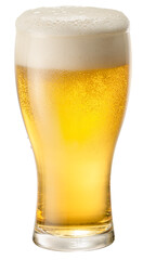 Glass of chilled light beer with beer foam head isolated on white background. Clipping path.
