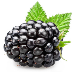 Blackberry with green leaves isolated on white background.