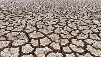 From a bird's-eye perspective, the unforgiving touch of drought unveils a landscape marred by arid desolation. Sparse vegetation struggles amidst parched earth, starkly illustrating nature's plight.
