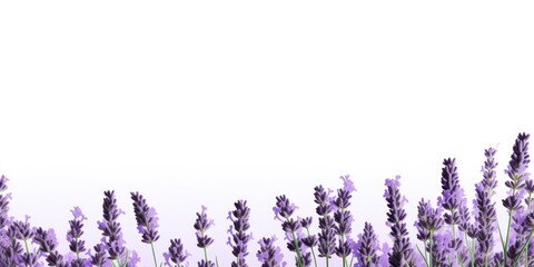 Lavender tall product box copy space is isolated against a white background for ad advertising sale alert or news blank copyspace for design text photo 