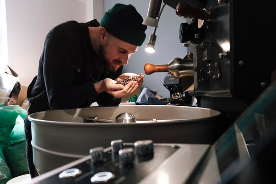 Coffee roaster holding and smelling coffee beans in factory