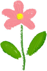 Bright pink painted daisy