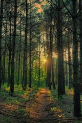 Naklejka premium Journey into the heart of the wilderness at dawn, with the forest coming alive with the sounds of awakening wildlife and the air filled, Generative AI