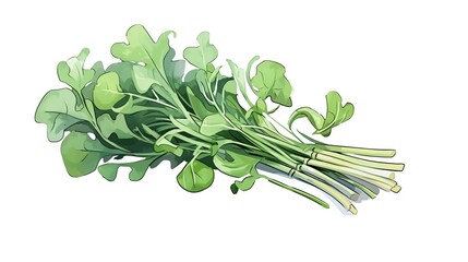 Obraz premium arugula, fresh arugula