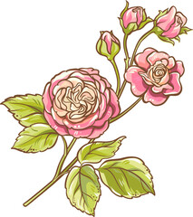 Rose Branch with Flowers and Leaves Colored Detailed Illustration