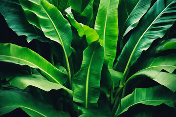 lush green plant with many leaves