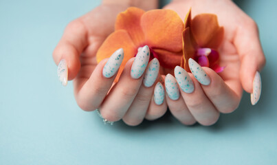 Female hands with blue nail design on blue pastel background