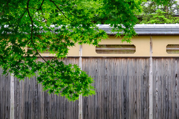 京都祇園の風景