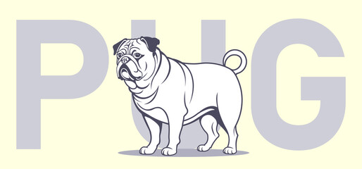 Vector adult serious brutal respectable standing white graphic dog of the Pug breed. Cute black and white purebred doggy. Fauna poster with pet.