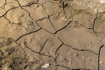 a large number of cracks in the soil during moisture drying