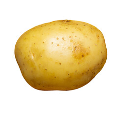 Isolated one potato on white
