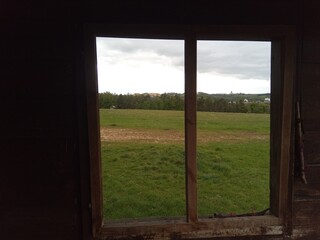 window with green grass