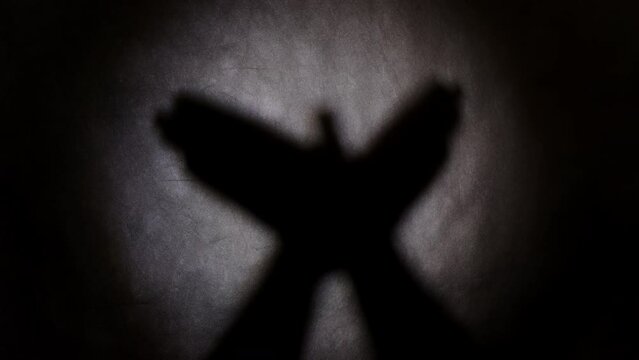 Shadow theater with hands. Shadow of figure of flying bird on wall depicted with hands. 