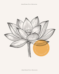 Lotus flower in engraving style. Botanical illustration. Beautiful ornamental plant, vector illustration.